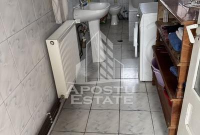 Casă unifamilială în Remetea Mare  cu teren de 3383 mp. - 3