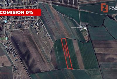 Teren Construcții extravilan de 30000 mp, în Săcălaz - 1