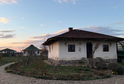 Casă individuală cu 3 camere cu Canalizare în Ciolpani - 16