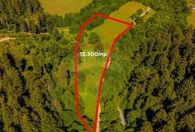 COMISION 0% Teren Bradet 7300 + 6000 mp/ Sacele /Intravilan - 5