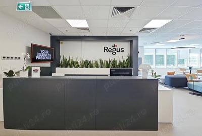 Birou virtual in Regus City Gate - 1
