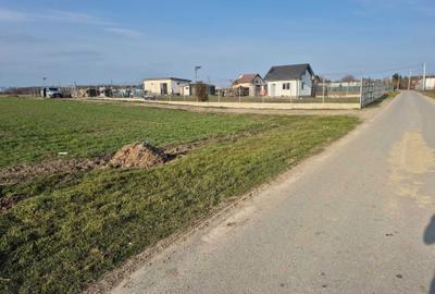 Teren de 5000 mp, în Gulia - 4