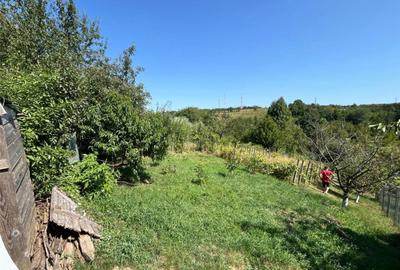 Casă cu 2 camere cu Teren 1248 Mp în Bârnova - 3