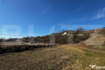 Teren în Vințu de Jos - 4