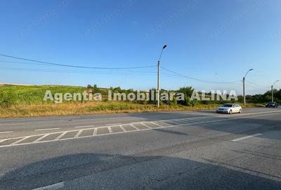 Teren de 9573 mp, în Sântuhalm - 4