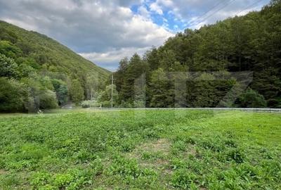 Casa 100 mp utili 4 camere 1,6 ha teren aproape de Trans Apuseana - 4