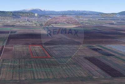 Teren extravilan de vanzare - 6.500 mp, Harman,  Brasov - 3