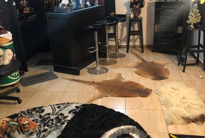 Vila D+P+M - Loc.Poiana - 245.000 euro (Cod E2) - 5