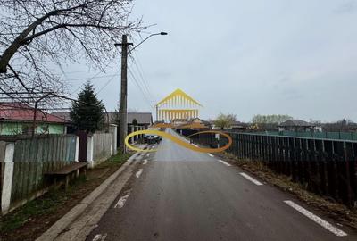 Teren de vanzare Filipesti Bacau 6838 mp - 10