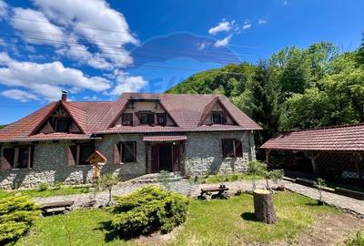 Pensiune cu 13 camere de vanzare in Bulz - 3