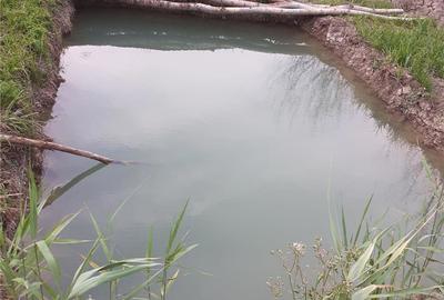 Casă cu 4 camere cu Teren 10000 Mp în Munteni - 2