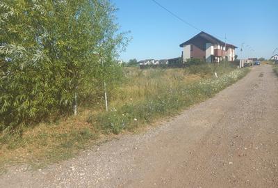 Domnesti, strada Radului Domnesti, strada Radului - 3