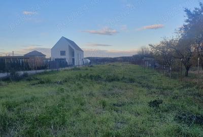 Teren de 2400 mp, în Tineretului - 4