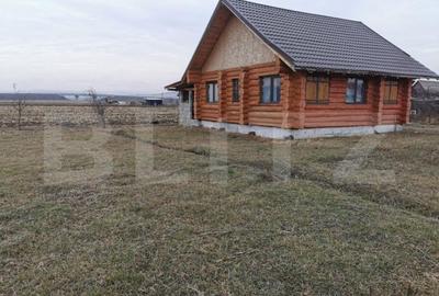 Teren de 5900 mp, în Pătrăuți - 1