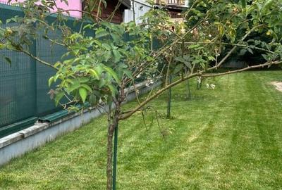 Casă individuală cu 5 camere cu Canalizare în Someșeni - 3