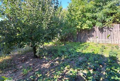 Casă cu 3 camere cu Teren 3360 Mp în Produlești - 6