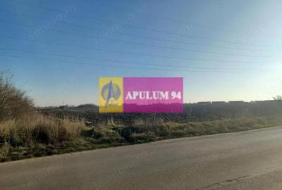 Teren de 8800 mp, în Săbăreni - 3