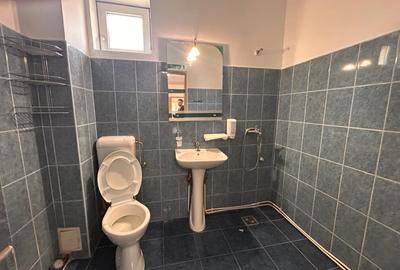 Inchiriere casa/vila pentru spatiu birouri, 179 mp., 1500 Eur, Marasti - 15