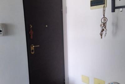 Apartament cu 2 camere decomandat în Valea Oltului - 2