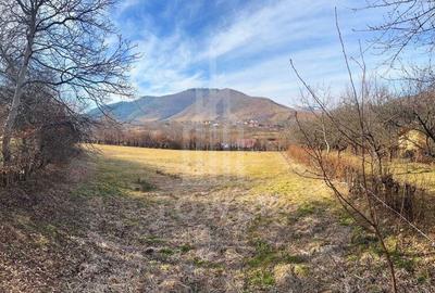 Teren intravilan 2.295 mp, deschidere 60 m – Rășinari, comision 0% - 7