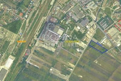 Inchiriere teren intravilan situat in Targu Jiu - strada Narciselor - 3