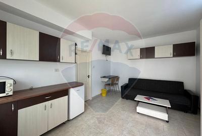 Apartament cu 1 camere nedecomandat, mobilat în Central - 2