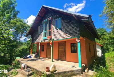 Casă cu 4 camere cu Teren 606 Mp în Bradu - 8