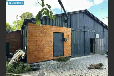 Hale de inchiriat pe drumul Lupacului - 1