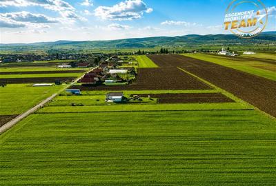 Teren Construcții intravilan de 2498 mp, în Chilieni - 12