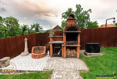 FILM 3D! Doua case cu:piscina,foisor,arbori decorativi,1.700mp teren,Lutoasa,Covasna - 7