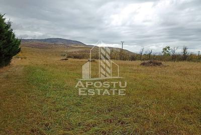 Teren de 3800 mp, în Ghioroc - 3