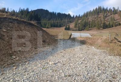 Teren în Central - 5