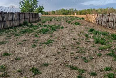 Casă cu 5 camere în Băltița - 2