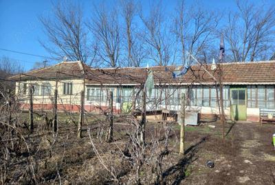 Vand casa Caldaru?anca - 5