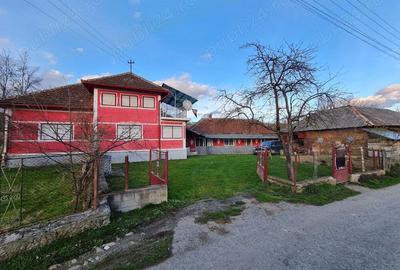Casa de vanzare in inima naturii sat Dobrot, jude?ul Hunedoara - 2