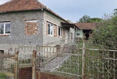 Casă cu 2 camere în Bărăștii Hațegului - 2