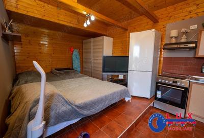 ID 6731 Casa de vacanta *Comuna MURIGHIOL!!! - 14