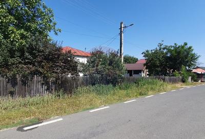 Casa Batraneasca Urechesti - 5