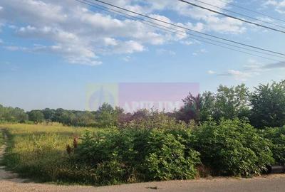 Se vinde teren 4200 mp in Teisori Giurgiu - 21