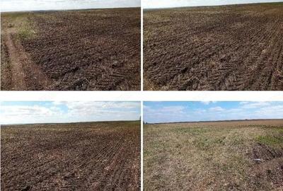 Teren de 12200 mp, în Periferie - 5