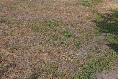 Casă cu 3 camere cu Teren 5000 Mp în Central - 1