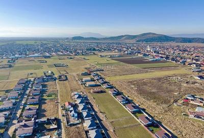 Compartimentare Practica Finisaje Moderne - 15