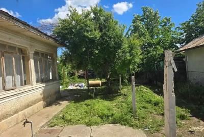 Casă în Băneasa - 1