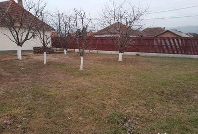 Casă cu 4 camere cu Teren 1160 Mp în Central - 6