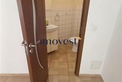 Spațiu comercial, de 43 mp, în Vest - 2