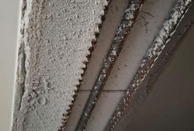 Garsoniera decomandata Metalurgiei - 5