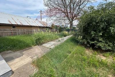 DE VANZARE Casa / Vila cu 5 camere de vanzare in BUFTEA DE VANZARE Casa / Vila cu 5 camere de vanzare in BUFTEA - 27