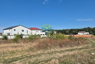 Teren de vanzare - Voluntari - zona Matei Millo - 6