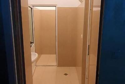 Spațiu comercial, de 330 mp, în Central - 2