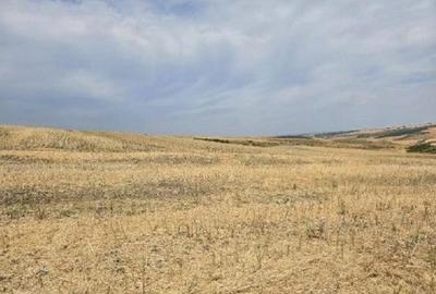 Teren Negureni, cota parte 1/8, ID: R2695094 - 6